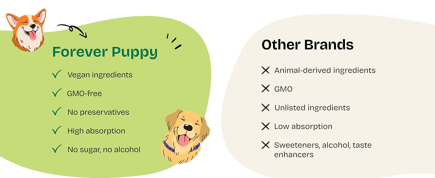 dog supplements vitamins dog vitamins and supplements vitamins for dogs