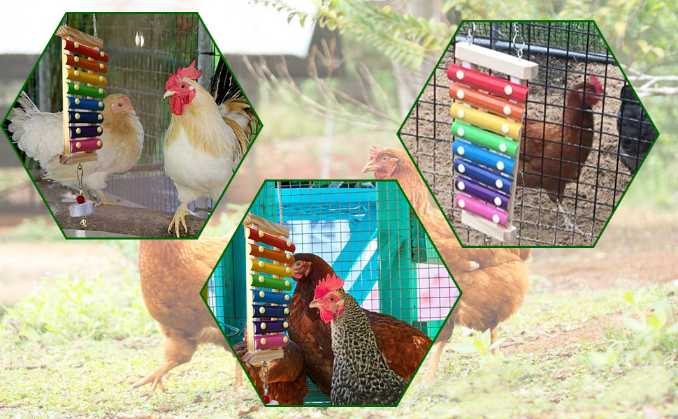 Vehomy Chicken Xylophone Toy for Hens Suspensible Wood Xylophone Toy