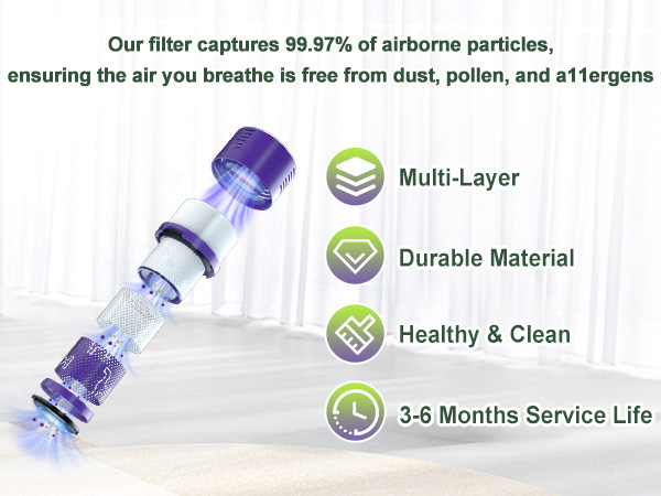 Amazon.com: 2 Pack V10 Filters Replacement for Dyson Cyclone