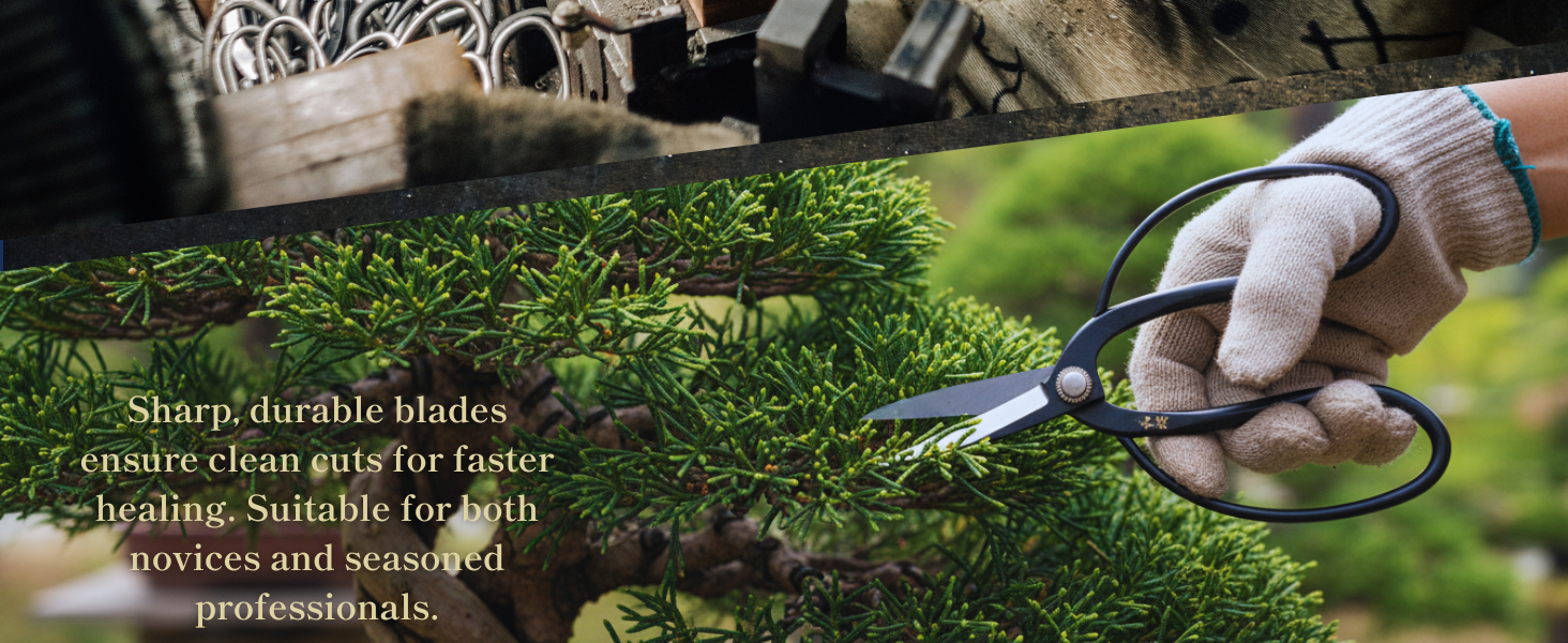 Large manufacture image 4