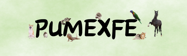 Reptile Food Toy Ball