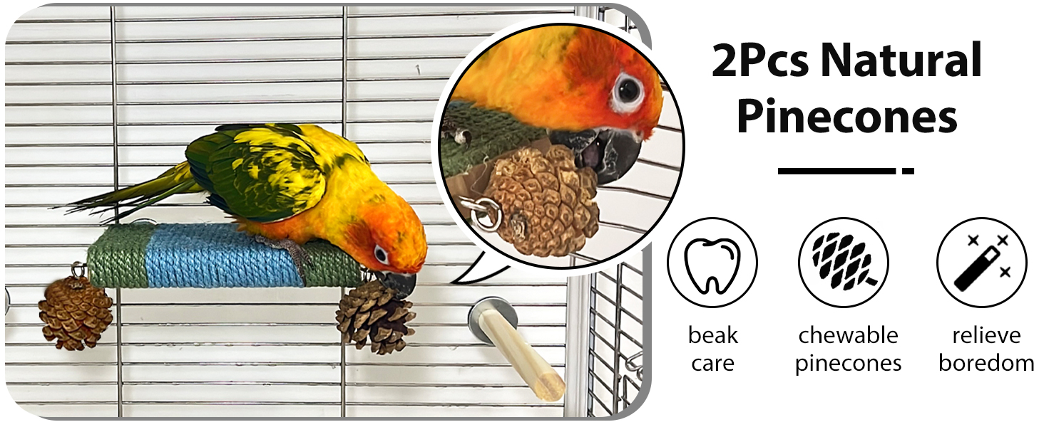 bird platform perch