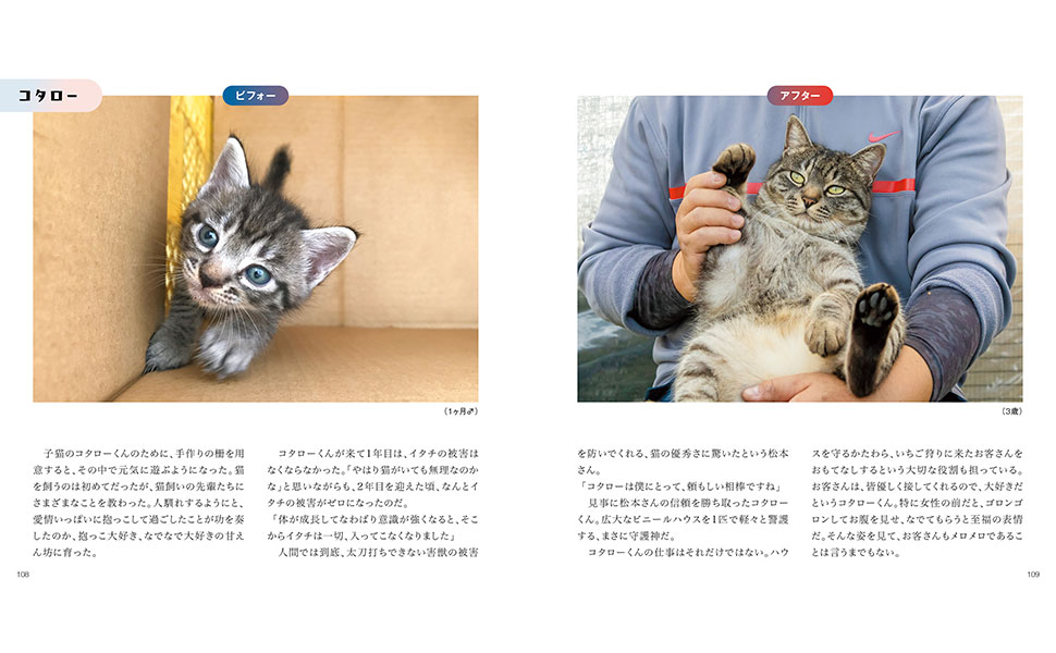 みんなしあわせ！ 保護猫ビフォーアフター | 猫びより編集部 |本