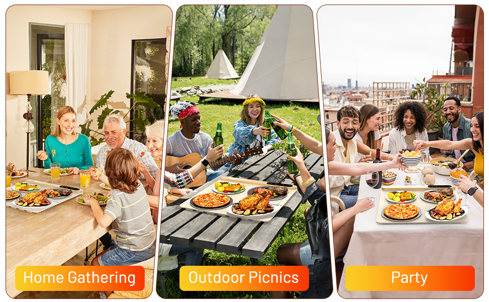 Electric Warming Tray with Full Surface Heating, 6