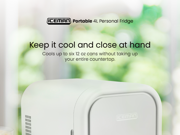 Amazon.com: Iceman Portable Mini Fridge – Fits 6 x 12 oz