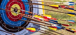 Carbon Arrows