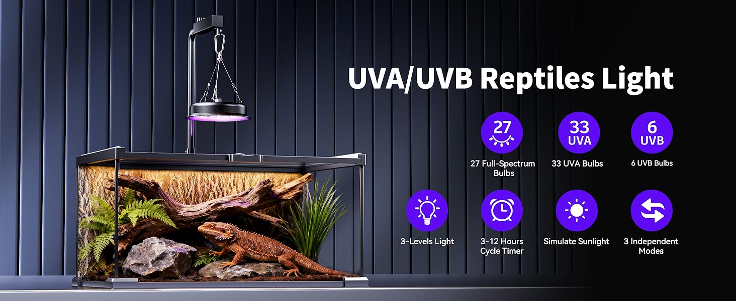 UVB Light for Reptiles