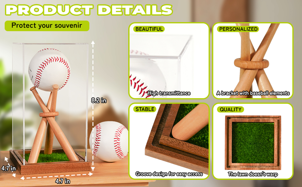 baseball display case A2