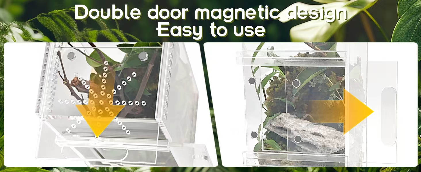 jumping spider enclosure