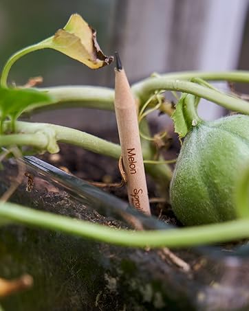 Melon pencil