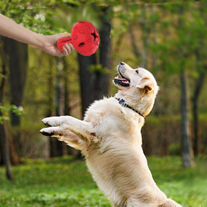 大型犬用おもちゃ
