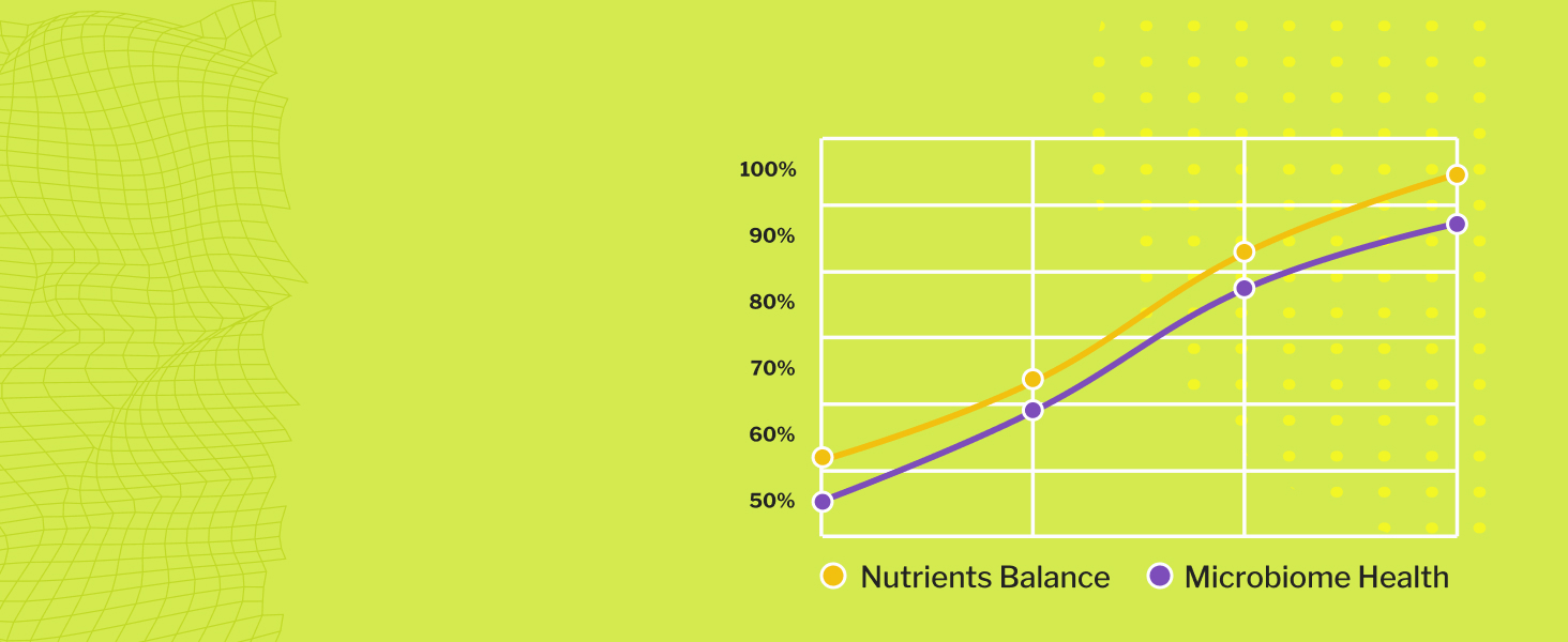 Digestive Enzymes With Probiotics for Women & Men Digestive