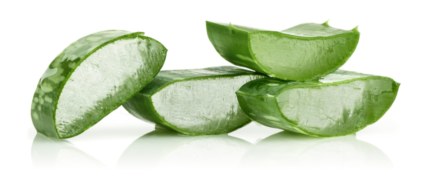 aloe