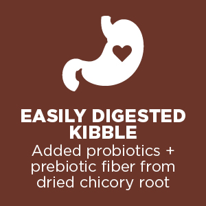Easily Digested Kibble