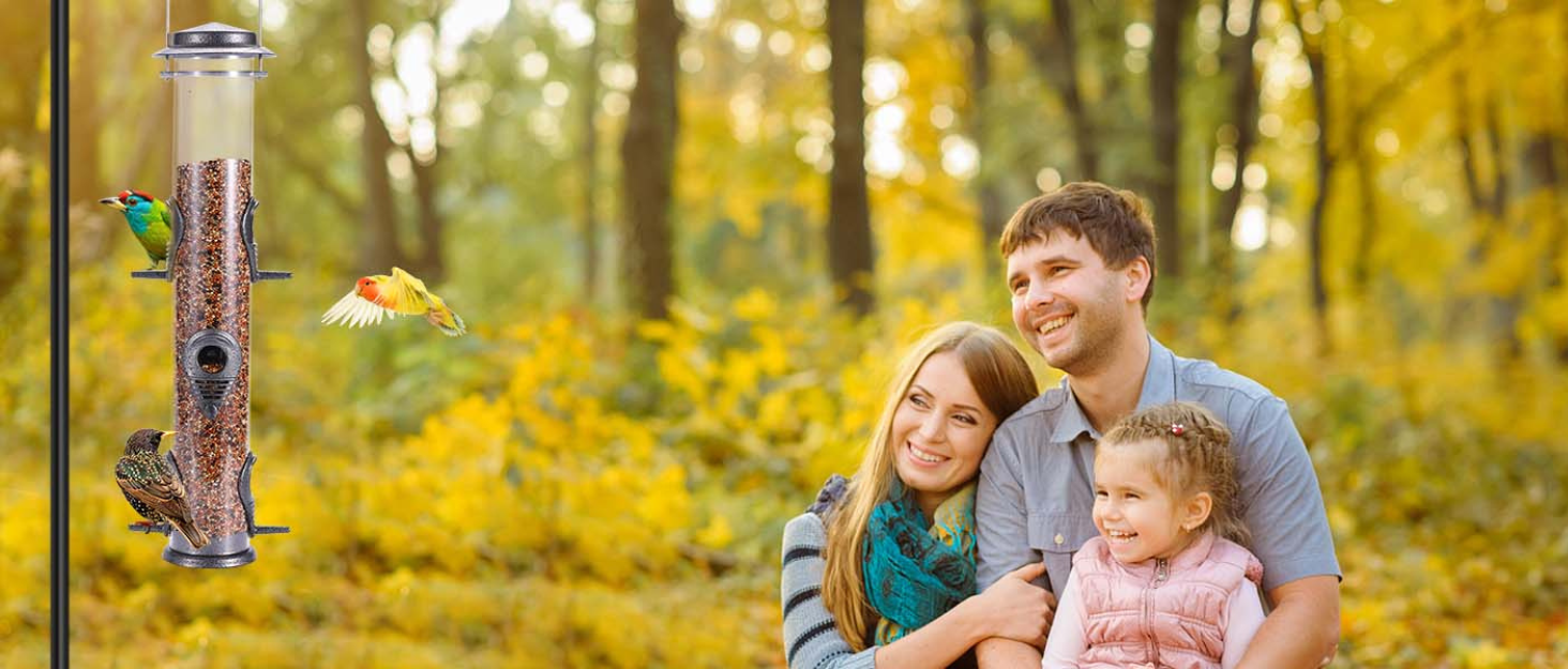 Metal Wild Bird Feeder