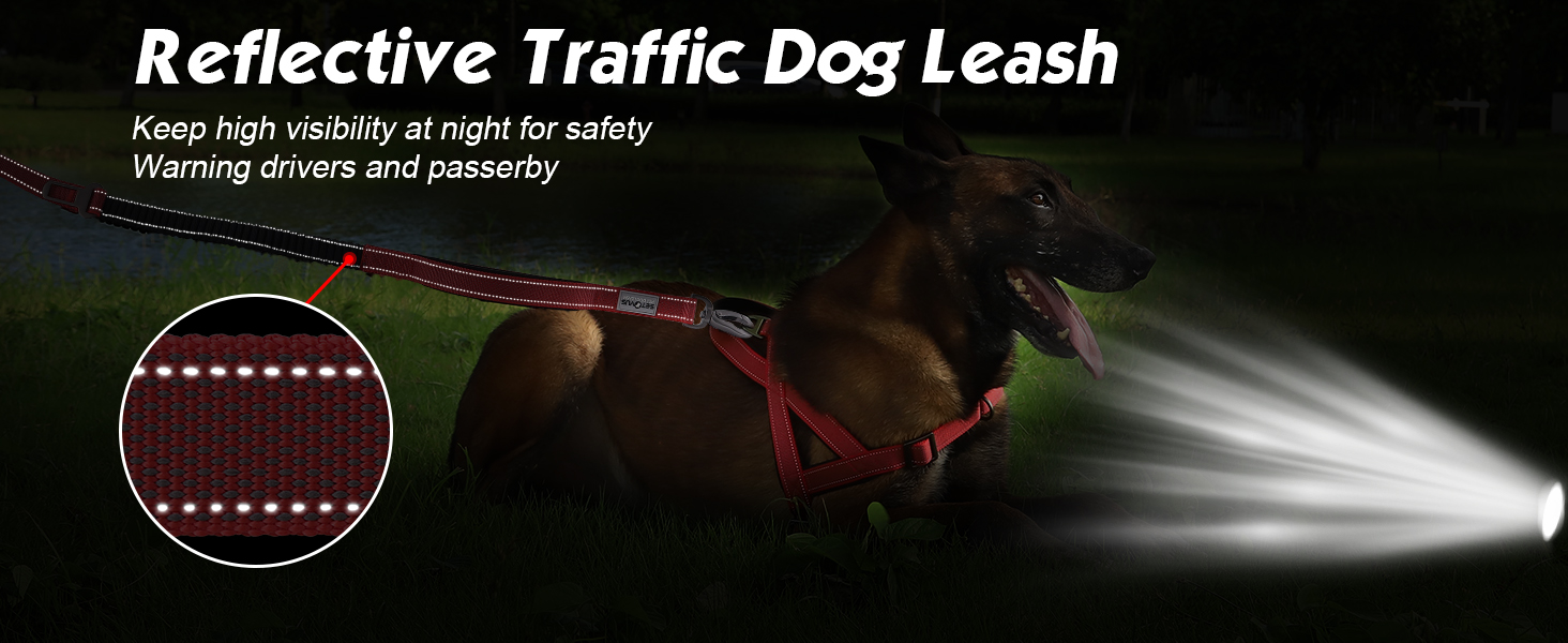 Double Handle Traffic Dog Leash Reflective