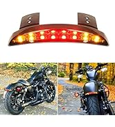 Amazon.com: DREAMIZER Motorcycle LED Tail Light Fender Edge