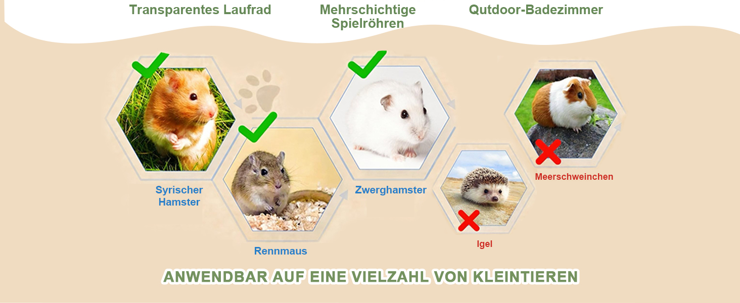 Infografik, die die Kompatibilität von Trainingsrädern mit Tieren zeigt. Sechseckige Bilder zeigen verschiedene kleine Haustiere mit Häkchen oder X-Markierungen, was auf die Eignung für verschiedene Tierarten hingewiesen wurde. Text in Deutsch beschreibt Produktanwendungen