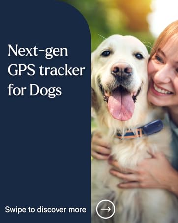 dog gps tracker