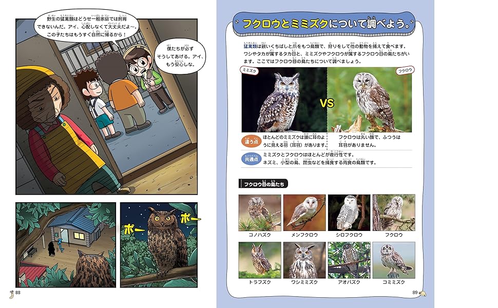 ドクターエッグ1-7 ドクターエッグ1-7 ドクターエッグ【7巻セット】 (科学漫画