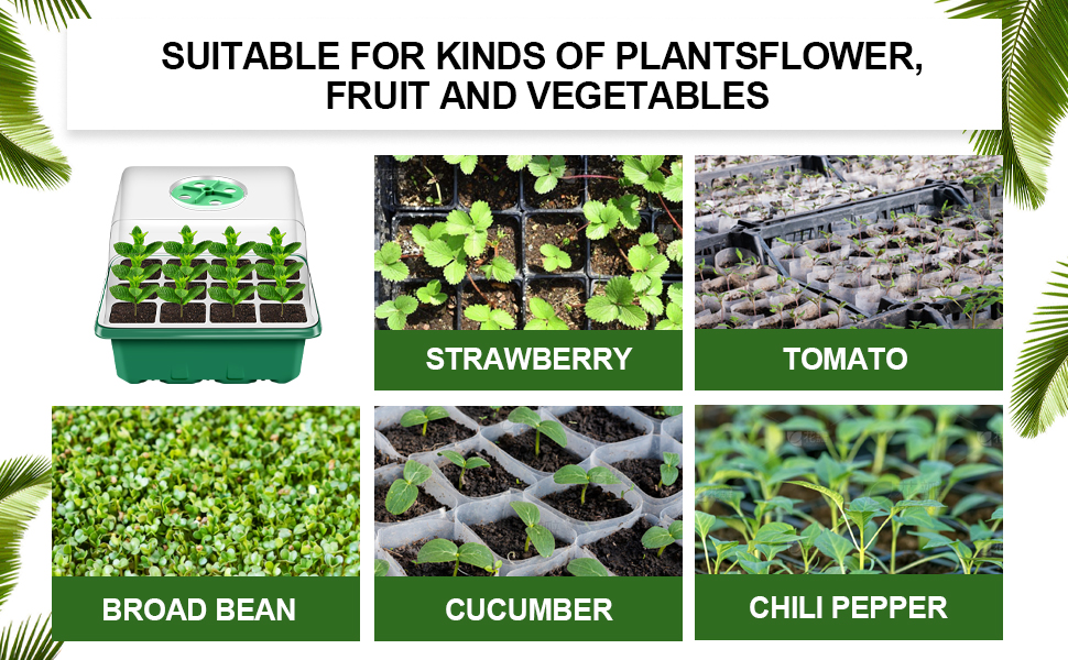 seed starter tray