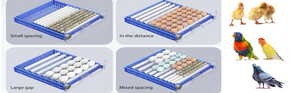 Eggs Automatic Egg Incubator