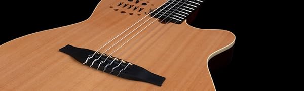 Amazon | GODIN (ゴダン) ナイロンギター エレガットギター ACS