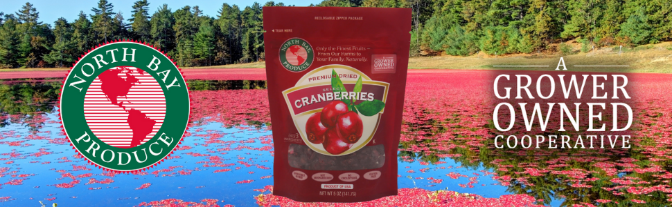 dried cranberries, sweetened, dried berries, dried fruit