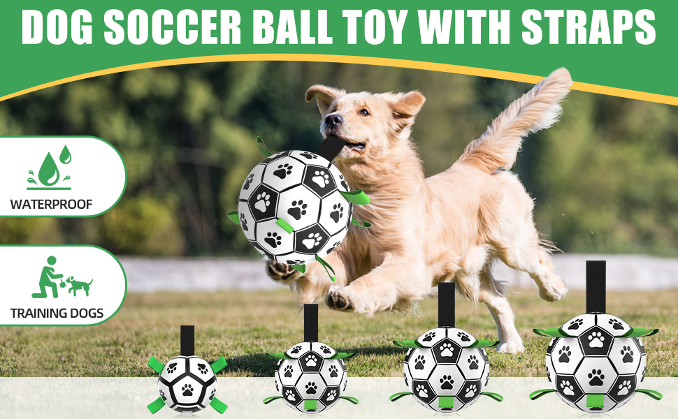 dog soccer ball