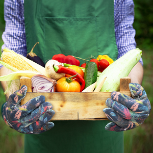 garden gloves