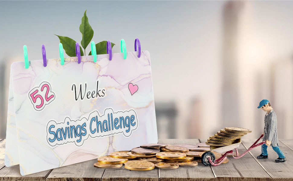 money saving challenge binder