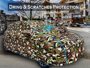 SCRATCHES PROTECTION COVER