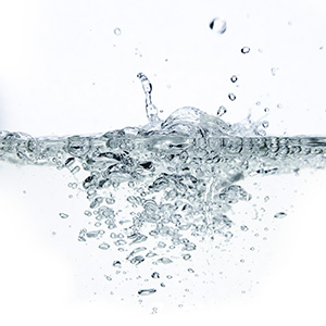 Hot water extracted and treated for high potency and better absorption with no starch