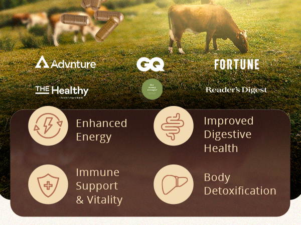 grassfed beef organ supplement grass fed beef supplements organ meats bodybuilding liver tablets