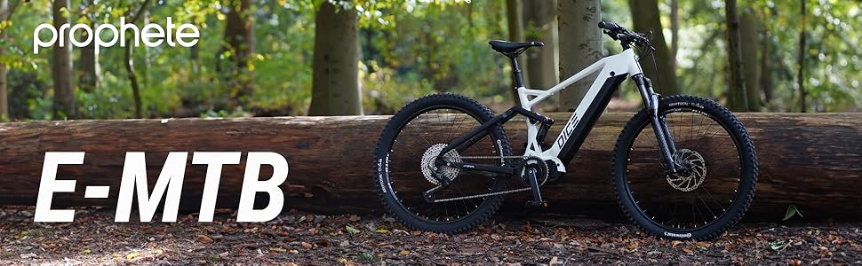 Prophete E-Bike