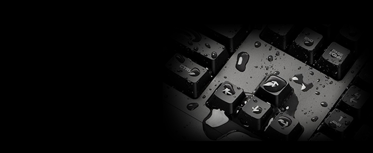  G213 Prodigy Gaming Keyboard