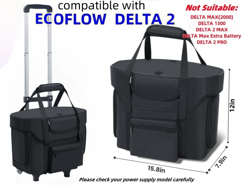 Amazon.com: Carrying Case Compatible with ECOFLOW DELTA 2,Portable