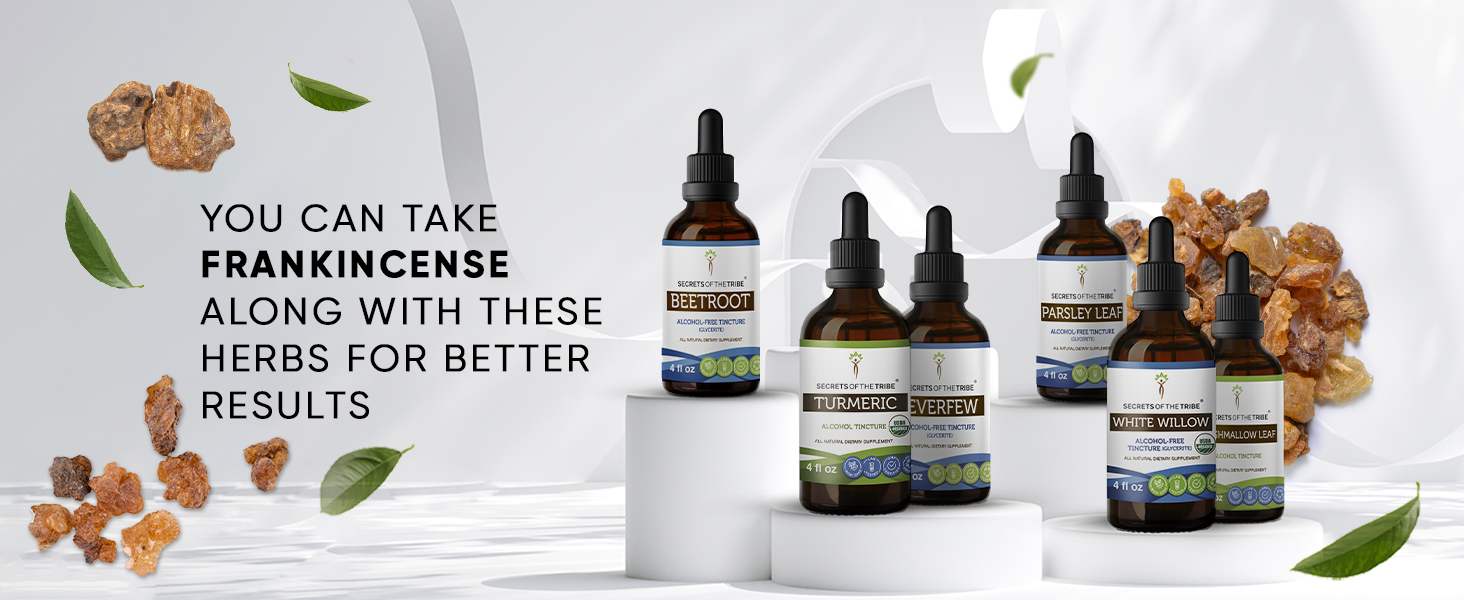 Secrets of the Tribe Frankincense Tincture USDA Organic