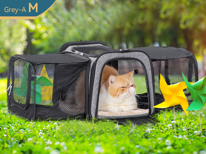 Expandable Pet Carrier
