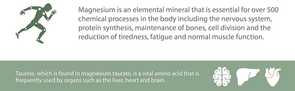 Magnesium Taurate Supplement | 50mg of Elemental Magnesium per Capsule