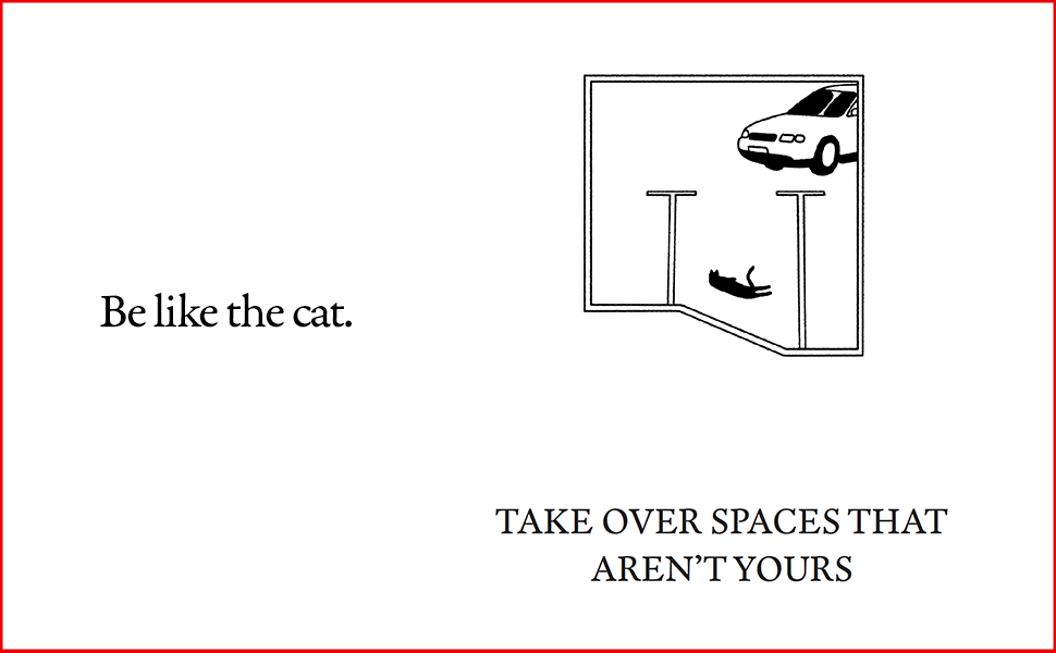cats4