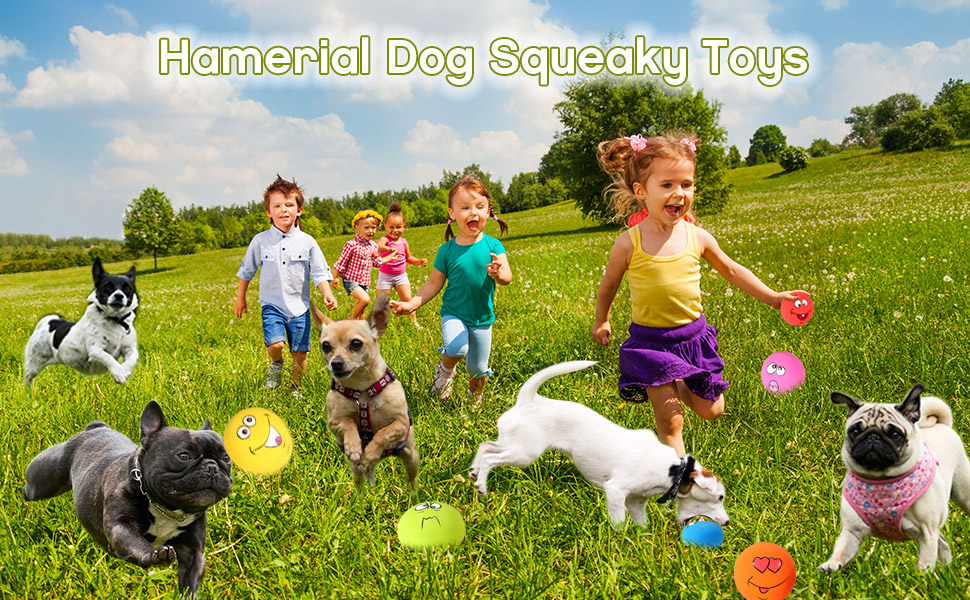 Dog Squeaky Toys