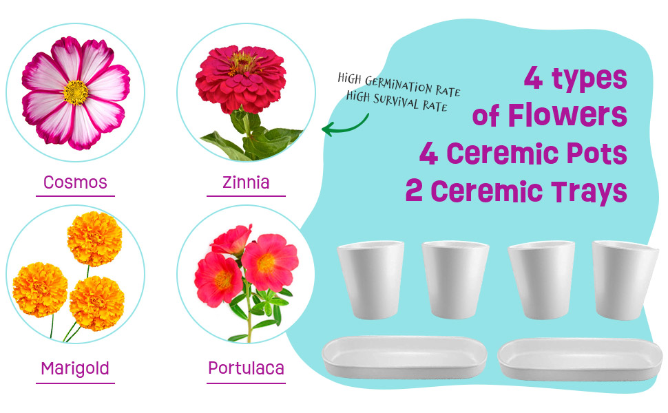 Large manufacture image 6