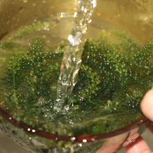 Small manufacture image 6