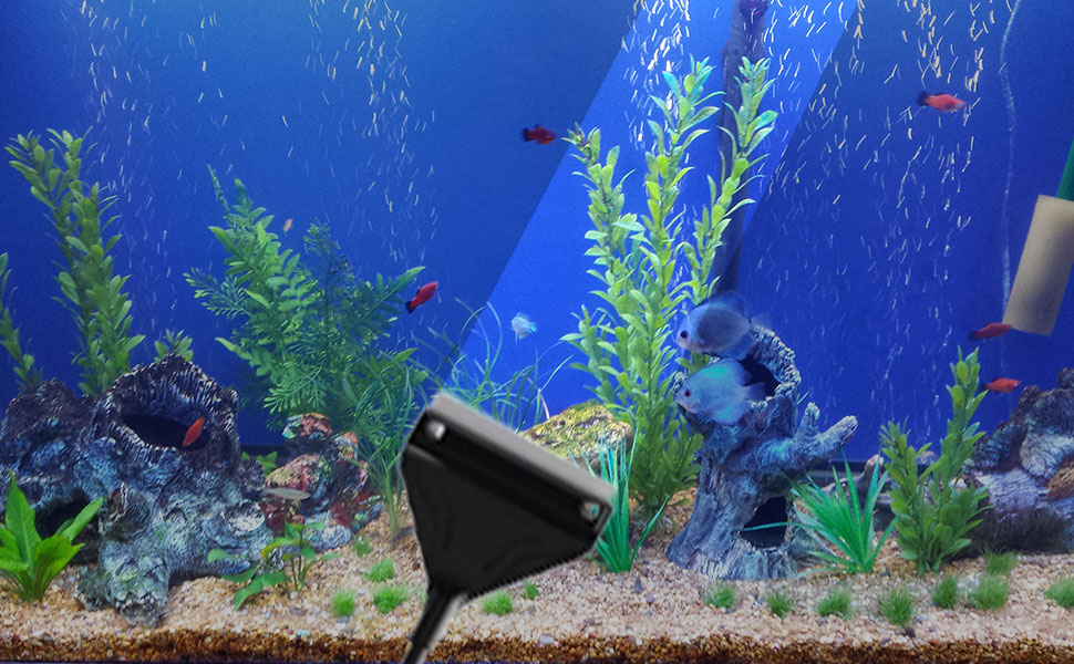 Aquariumszene mit farbenfrohen Fischen, grünen Pflanzen und einem blauen Hintergrund. Ein schwarzes dreieckiges Objekt, möglicherweise ein Filter oder eine Pumpe, ist im Vordergrund sichtbar.
