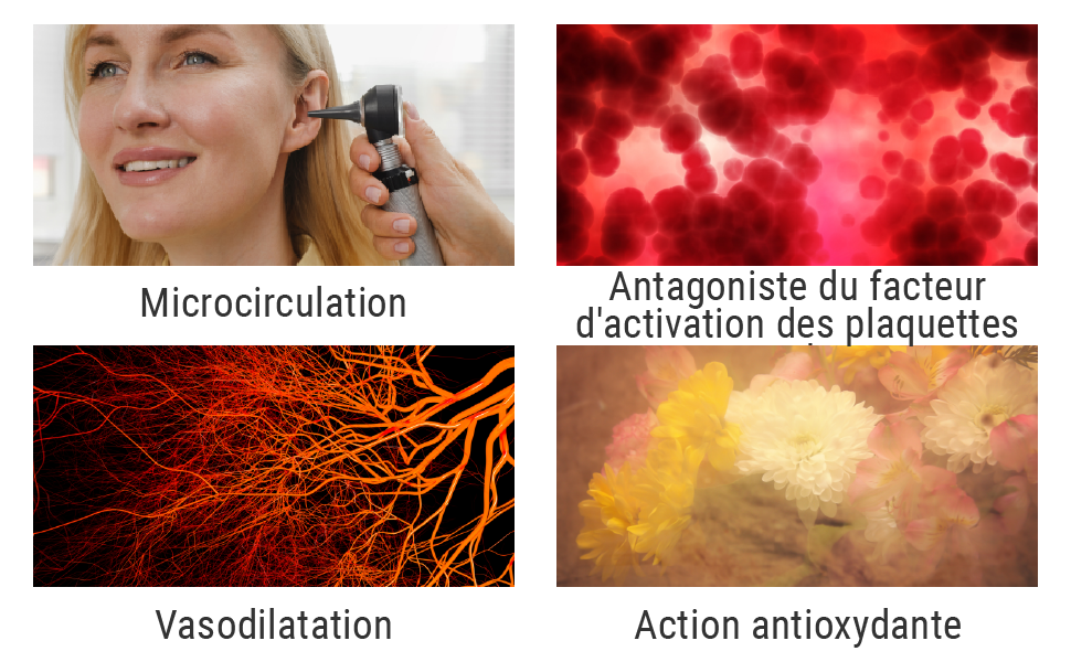 microcirculation, vasodilatation