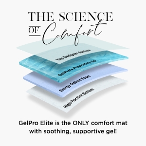 The Science of Comfort