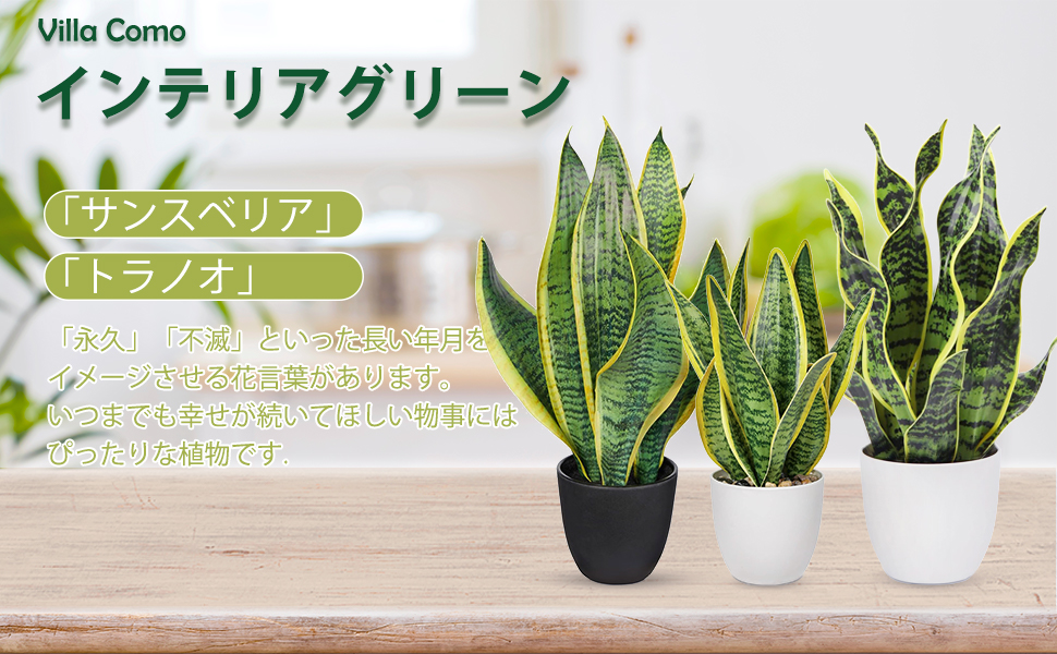 Amazon｜Villa Como フェイクグリーン インテリアグリーン