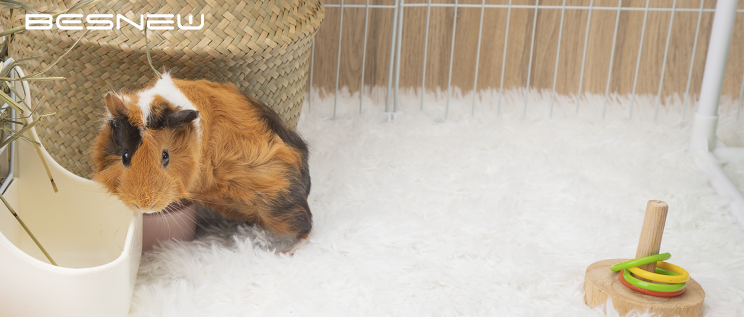 Guinea Pig Hammock