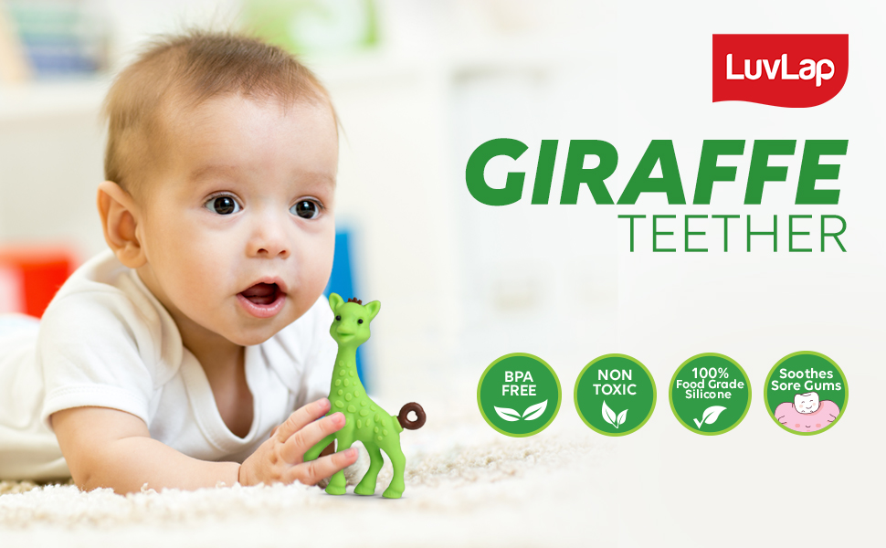 Buy LuvLap Silicone Teether for 6 to 12 Months Baby / Toddler, Teething